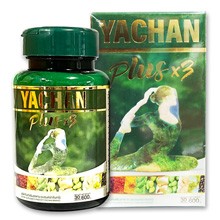 YACHAN PLUS~3